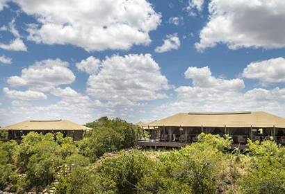 Exploring the Splendor of East African Safari Tours in January - Where to Go and What to See