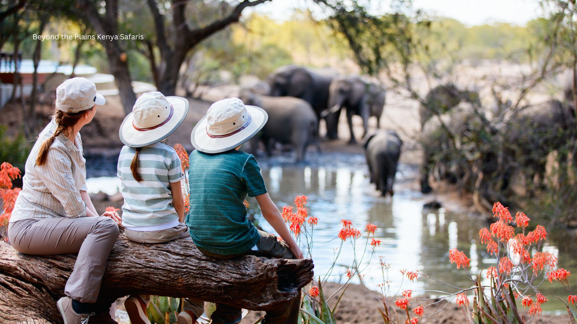 Packing Smart: What Not to Bring on a Kenyan Safari