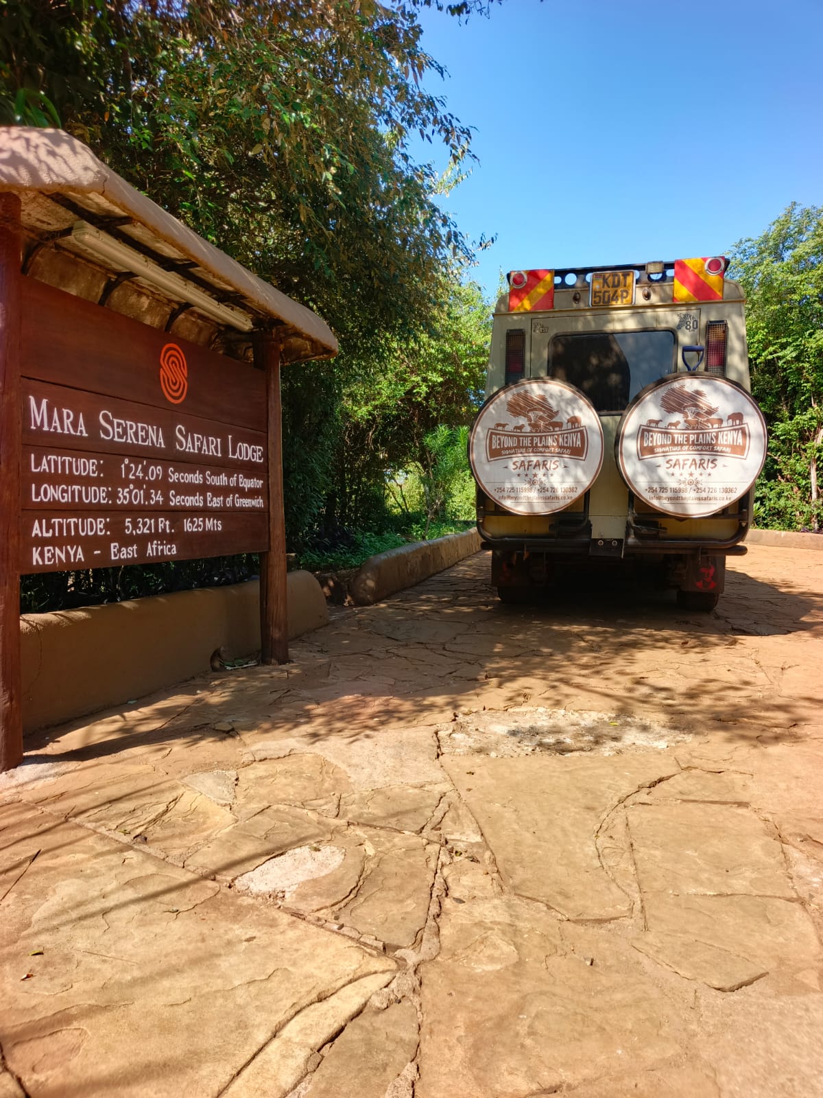 Planning an Africa Safari: Costs, Destinations & Expert Tips