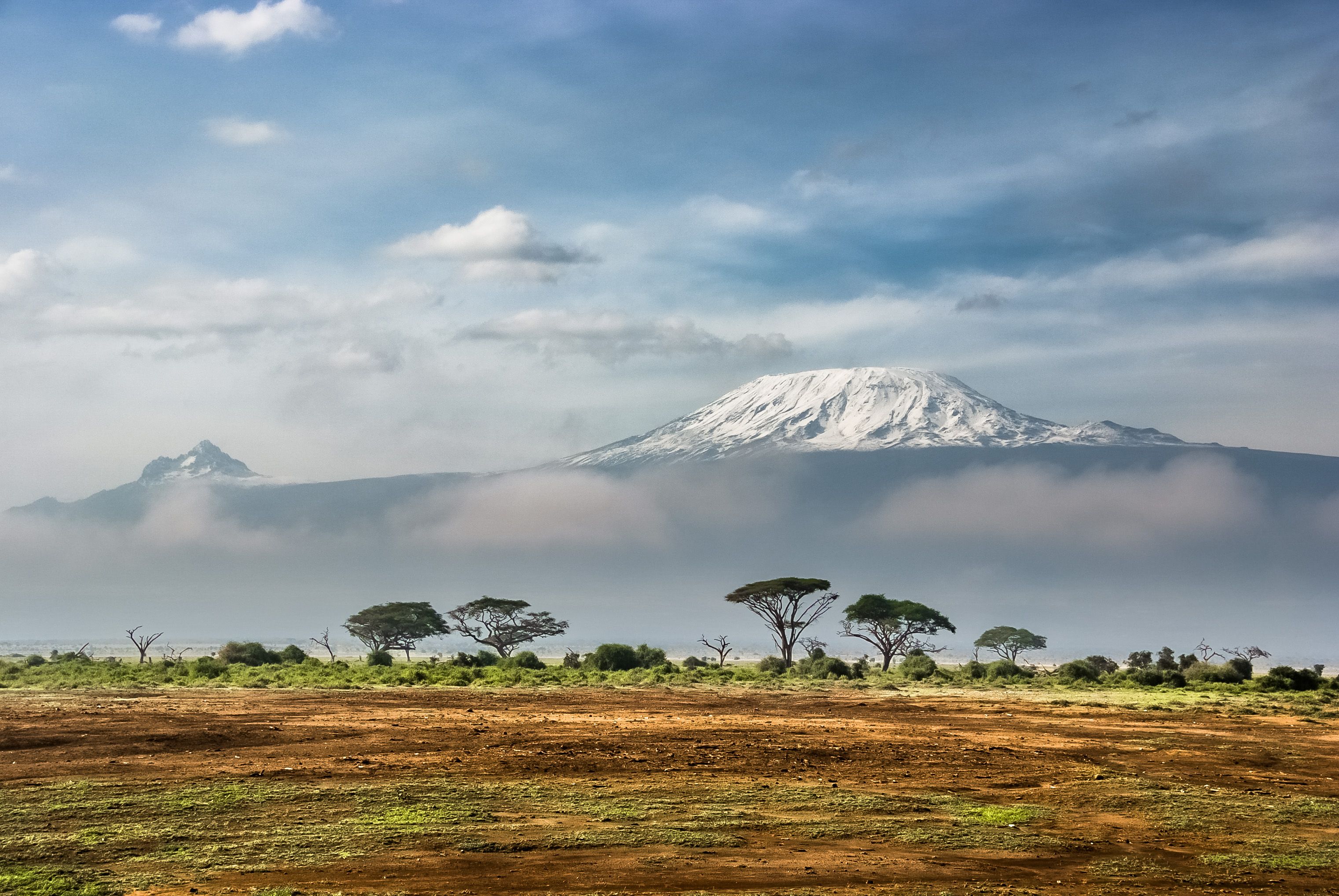 Amboseli Safari Guide: Elephants, Kilimanjaro Views & Best Time to Visit