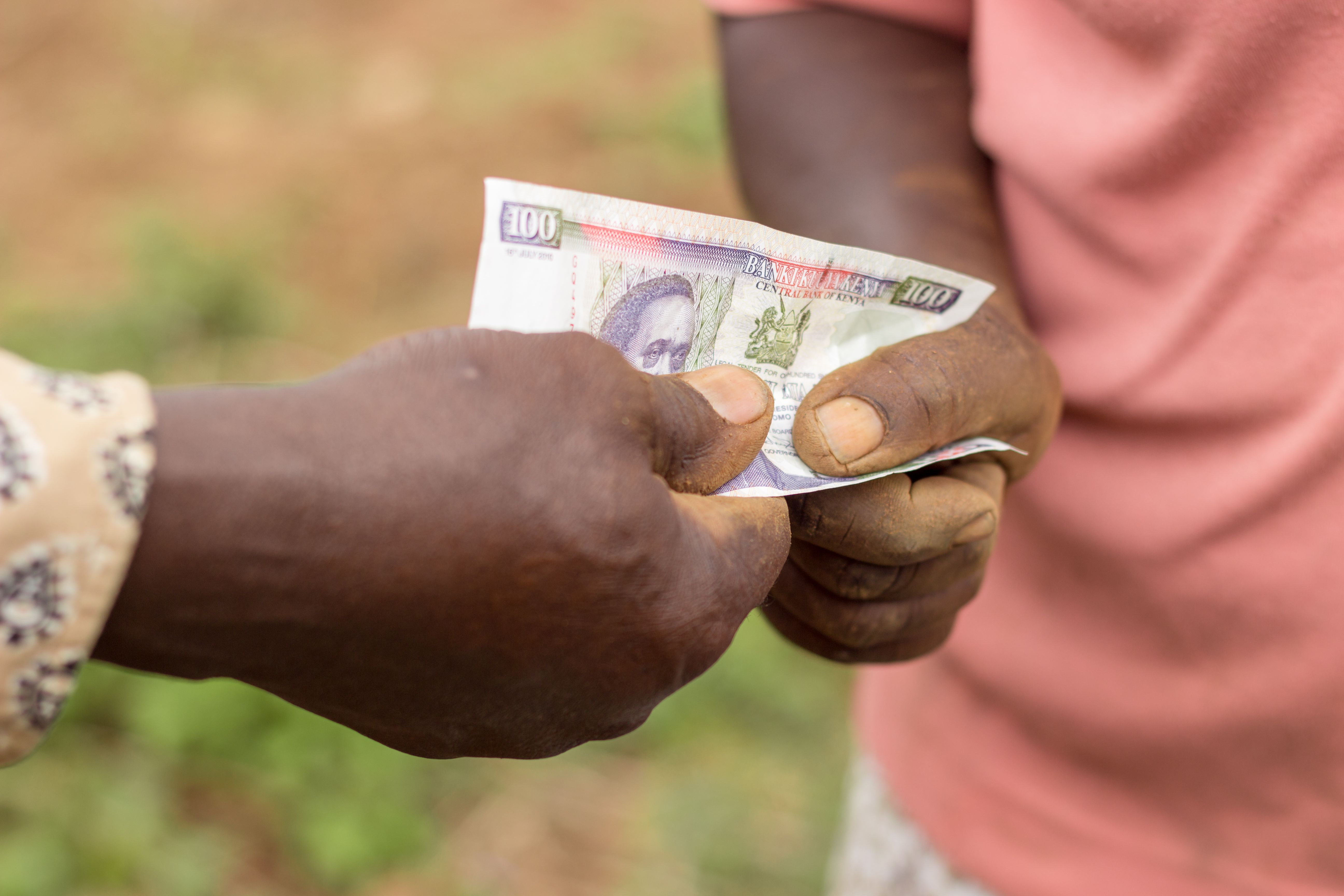 How Much Cash Do You Need for a Kenya Safari? The Complete Money Guide (2026)