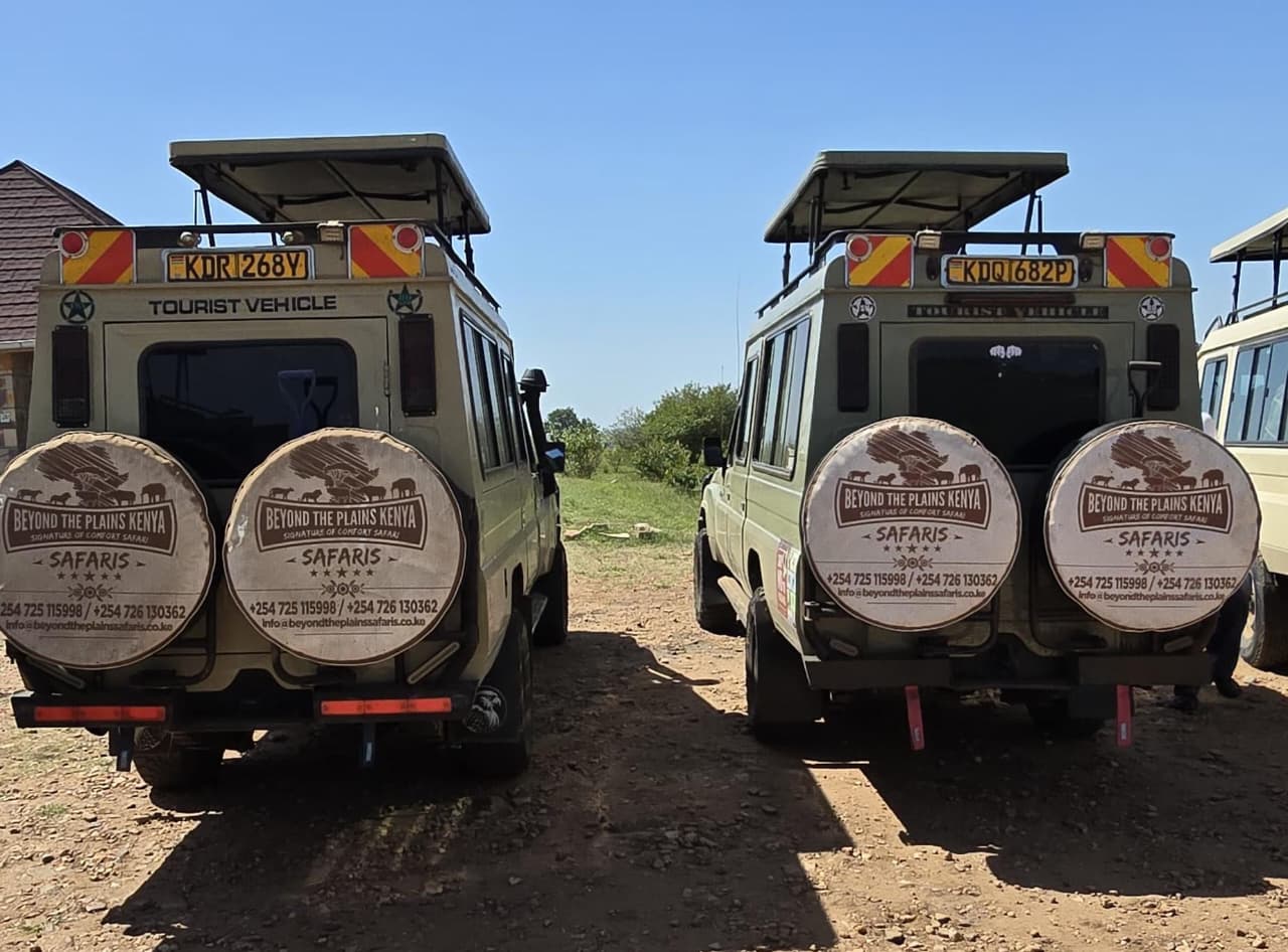 The Ultimate Kenya Safari Guide for Chinese Travellers: Visa, Cost, and Best Time to Go